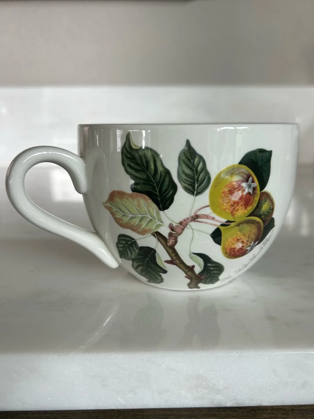 Portmeirion Pomona Trenton Squash Pear Goddess of Fruit Jumbo Tea Cup/Mug